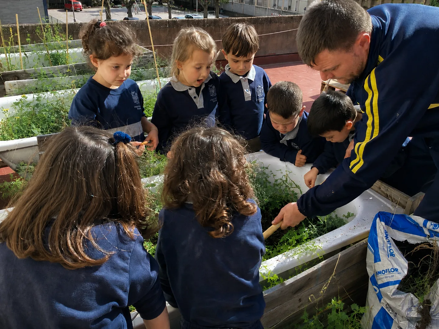 Huerto escolar